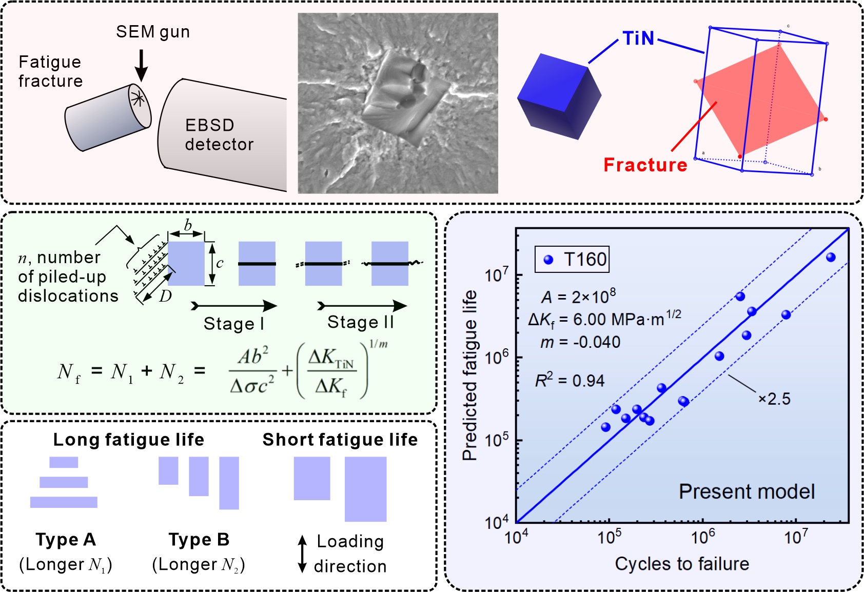 Effect of TiN inclusion on fatigue